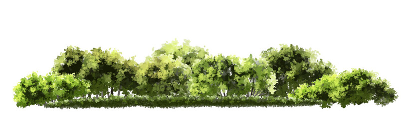  Vector watercolor green  tree or forest side view isolated on white background for landscape and architecture drawing,elements for environment or and garden,Shrub for section
