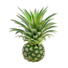 Close-up of a vibrant green pineapple.  Sharp, spiky leaves radiate from a round fruit