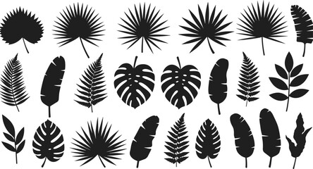 Tropical leaf silhouette collection, monstera, banana, palm, fern leaves, botanical design elements, black foliage set, jungle nature icons