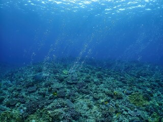 Air bubble coming out from above of underwater cave in Onna, Okinawa