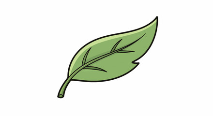 Cartoon Style Green Leaf with Black Outline and Veins Illustration.
