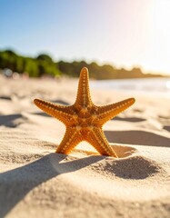 Tight shot of a starfish resting on fine beach sand, with sunlight casting a soft shadow. Evokes feelings of summer, simplicity, and connection to nature.