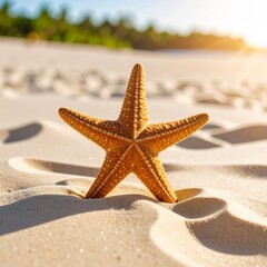 Tight shot of a starfish resting on fine beach sand, with sunlight casting a soft shadow. Evokes feelings of summer, simplicity, and connection to nature.