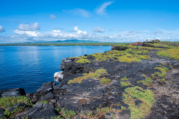 Volcanic Coastal Landscape, South Plaza, Galapagos