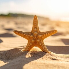 Tight shot of a starfish resting on fine beach sand, with sunlight casting a soft shadow. Evokes feelings of summer, simplicity, and connection to nature.