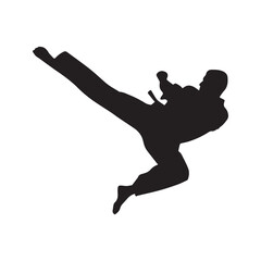 Martial Arts Fighter Silhouette Jump Kick Karate Taekwondo Illustration