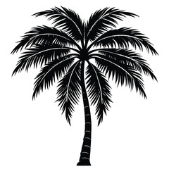 Detailed black silhouette of a tropical palm tree