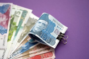 Pakistan rupees banknotes on purple background. The current Pakistan money bills