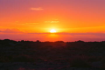 Obraz premium Fiery Desert Sunset Bright Glowing Sun Silhouette Trees and Shrubs