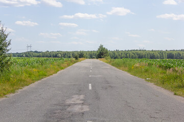 asphalt road without cars in the middle of forest and field