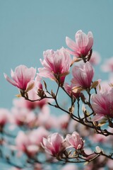 Obraz premium Magnolia branch displaying delicate pink blossoms flourishing beneath pristine blue sky, embodying seasonal renewal