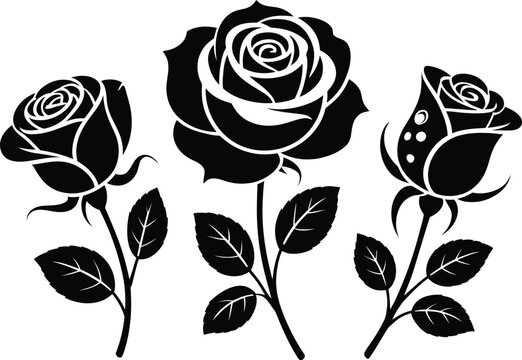 A collection of three stylized black rose illustrations, including a blooming flower, a profile view, and a rosebud with dew drops. This elegant vector silhouette set, tattoos, wedding invitations