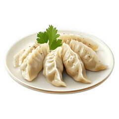 Steamed dumplings with fresh green parsley garnish on a white plate