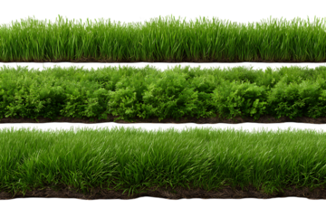 Three horizontal rows of lush green grass and foliage isolated on transparent background