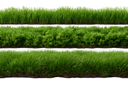 Three horizontal rows of lush green grass and foliage isolated on transparent background