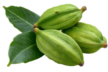 Three green cardamom pods and leaves isolated on transparent background