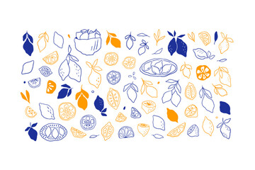 Hand drawn line art lemons with leaves