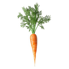 Vibrant orange carrot with lush green leafy tops image