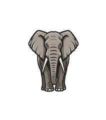 elephant isolated on white and large elephant in white background, heavy, wood, asia, white background, elephant, animal, isolated, mammal