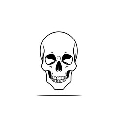 Simple Skull Illustration: A minimalist line art drawing of a human skull, showcasing its anatomical details in a black and white vector style.