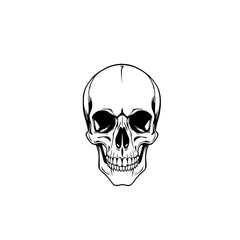 Human Skull Illustration: A detailed line art drawing of a human skull, showcasing its anatomical features in a stark, monochrome style.