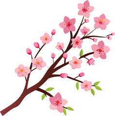 Delicate pink cherry blossoms on a branch