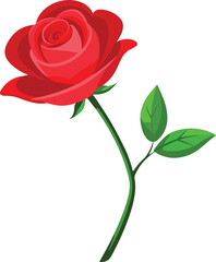 Obraz premium A single red rose with green leaves on a white background