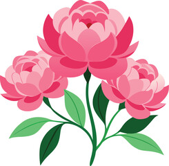 Three pink peony flowers with green leaves