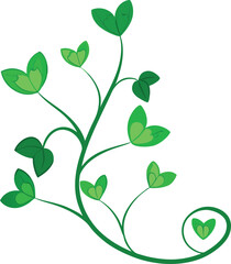 Green heart shaped leaves on a vine