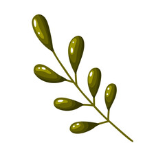 Green Glossy Leaves Branch Flat Illustration
