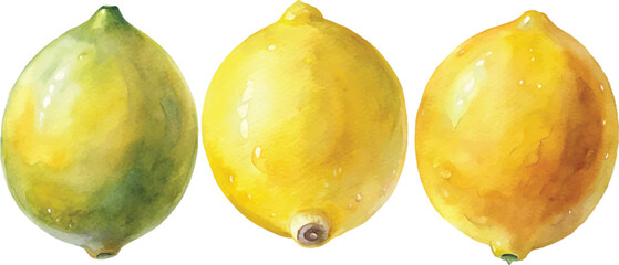 Three Watercolor Lemons