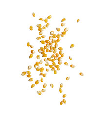 scattered of corn kernel on white
