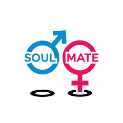 Soulmate concept featuring male and female symbols in blue and pink, showcasing love, connection, and relationship