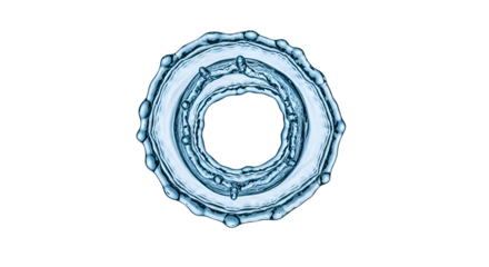 Water Droplets Form a Ring, Creating a Transparent Background