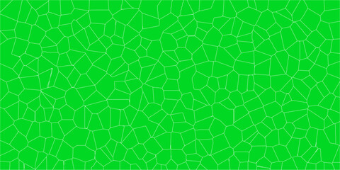 The Landscape Beneath the Surface

