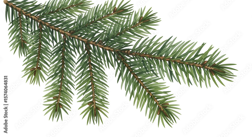 Poster create evergreen branch with transparent background, perfect for design projects and digital art