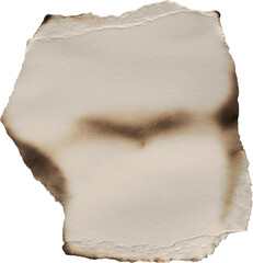 Brown And Beige Burnt Textured Paper Piece