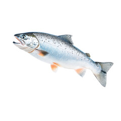 Naklejka premium Flying salmon fillet, isolated on a white background, adding a playful and dynamic touch. PNG