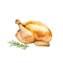 Watercolor-style roasted chicken, isolated on a white background, soft and artistic depiction of its features. PNG