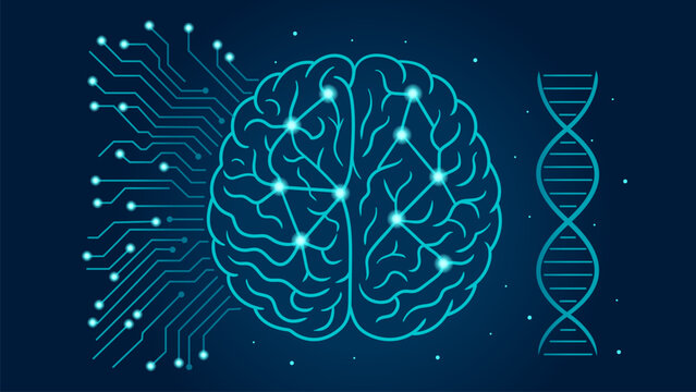 AI Neural Network Brain with Digital Circuit Patterns. Medical AI Concept