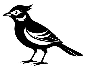 Fototapeta premium bananaquit vector black animal silhouette