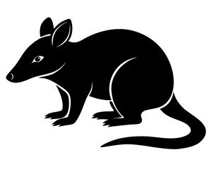 Obraz premium bandicoot vector black animal silhouette