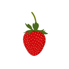 strawberry illustration isolated on white background
