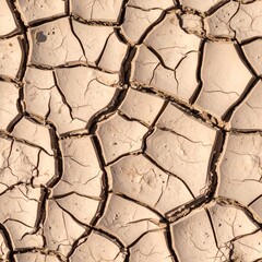 Dried Cracked Earth Texture Resembling Desert Floor