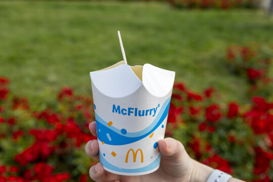 Poznan, Poland - June 18, 2025: McFlurry dessert cup from McDonald's held in a hand against a green background with red flowers, representing a refreshing summer treat