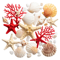 Seashells with Ocean-Themed Decorations — Starfish, Coral, and Pebbles, Isolated on Transparent