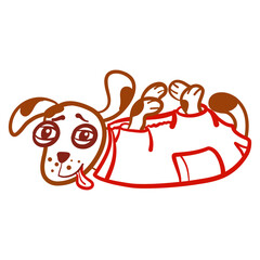Funny puppy lying on his back in a red jumpsuit, playing, sticking out his tongue with pleasure