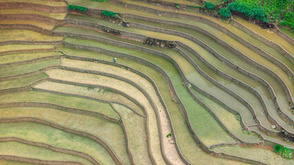  Hmong farmers prepare their fields and plant rice on terraced fields in Mu Cang Chai, Yen Bai....