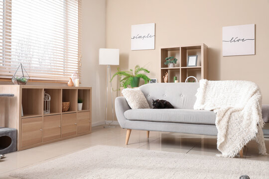 Cute black cat sitting on grey sofa in light living room