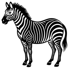 Obraz premium zebra vector illustration